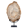 Versteend hout schijf gepolijst op standaard 43 x 30 x 2,2 cm | 4,4 kg Versteend hout schijf gepolijst op standaard 43 x 30 x 2,2 cm | 4,4 kg
