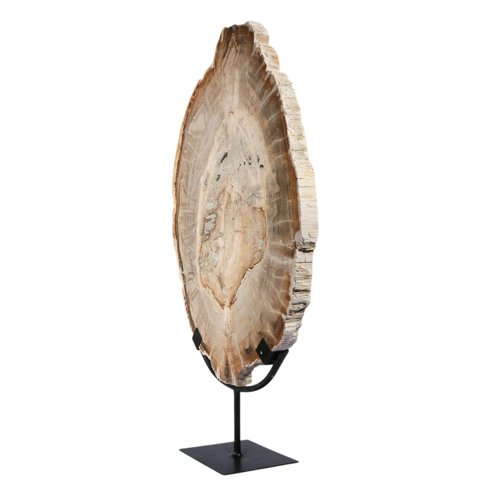 Versteend hout schijf gepolijst op standaard 43 x 30 x 2,2 cm | 4,4 kg Versteend hout schijf gepolijst op standaard 43 x 30 x 2,2 cm | 4,4 kg