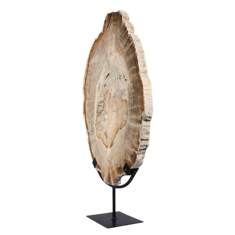 Versteend hout schijf gepolijst op standaard 43 x 30 x 2,2 cm | 4,4 kg Versteend hout schijf gepolijst op standaard 43 x 30 x 2,2 cm | 4,4 kg