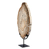 Versteend hout schijf gepolijst op standaard 43 x 30 x 2,2 cm | 4,4 kg Versteend hout schijf gepolijst op standaard 43 x 30 x 2,2 cm | 4,4 kg