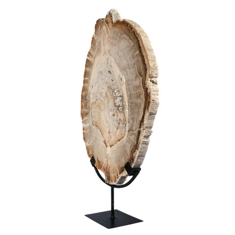 Versteend hout schijf gepolijst op standaard 43 x 30 x 2,2 cm | 4,4 kg Versteend hout schijf gepolijst op standaard 43 x 30 x 2,2 cm | 4,4 kg