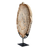 Versteend hout schijf gepolijst op standaard 43 x 30 x 2,2 cm | 4,4 kg Versteend hout schijf gepolijst op standaard 43 x 30 x 2,2 cm | 4,4 kg