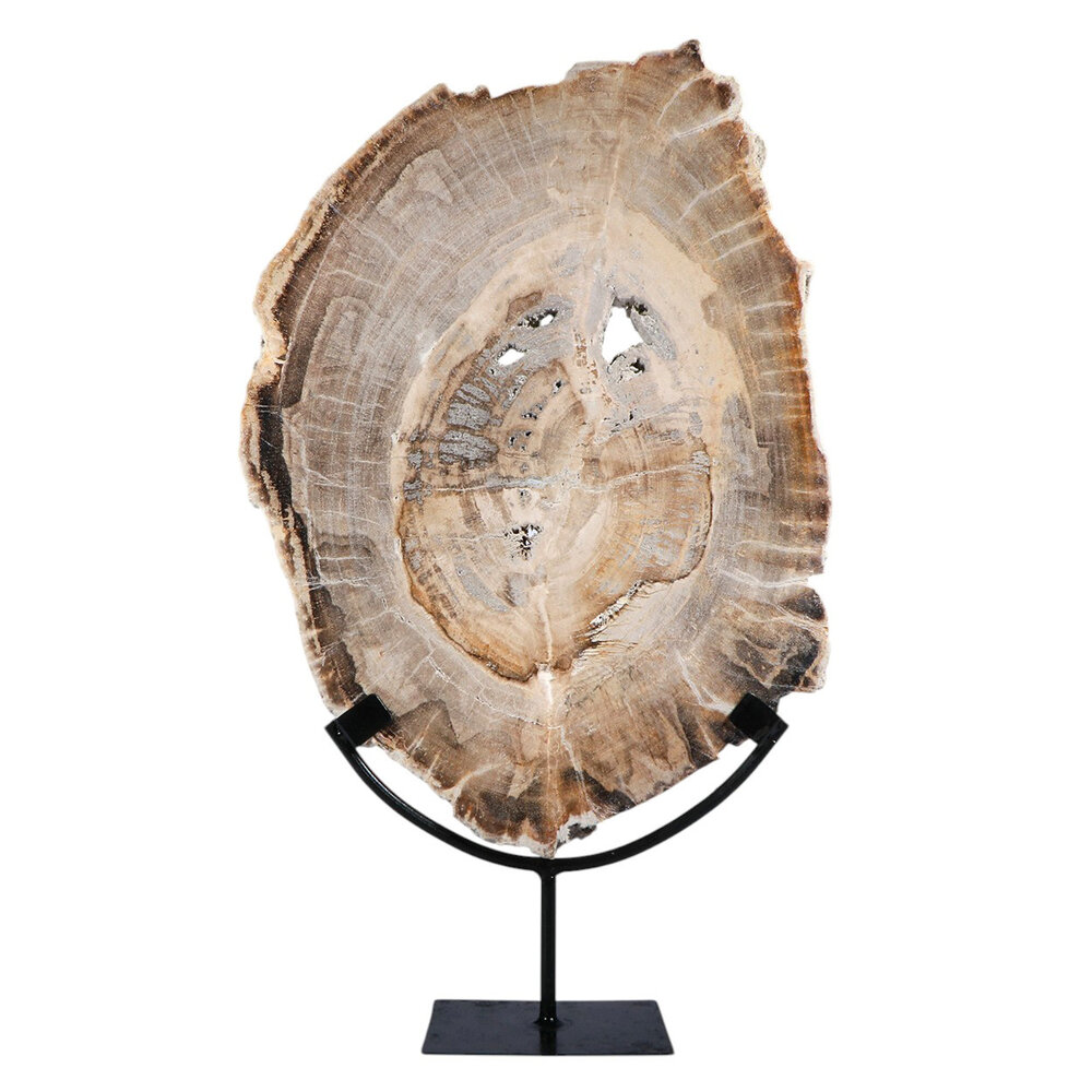 Versteend hout schijf gepolijst op standaard 41,5 x 28,7 x 2,3 cm | 4,5 kg Versteend hout schijf gepolijst op standaard 41,5 x 28,7 x 2,3 cm | 4,5 kg