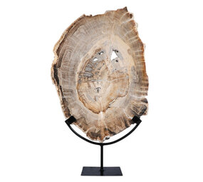Versteend hout schijf gepolijst op standaard 41,5 x 28,7 x 2,3 cm | 4,5 kg Versteend hout schijf gepolijst op standaard 41,5 x 28,7 x 2,3 cm | 4,5 kg