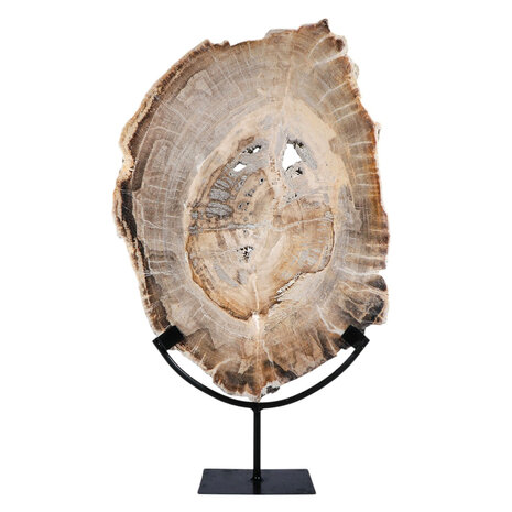 Versteend hout schijf gepolijst op standaard 41,5 x 28,7 x 2,3 cm | 4,5 kg Versteend hout schijf gepolijst op standaard 41,5 x 28,7 x 2,3 cm | 4,5 kg