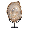 Versteend hout schijf gepolijst op standaard 41,5 x 28,7 x 2,3 cm | 4,5 kg Versteend hout schijf gepolijst op standaard 41,5 x 28,7 x 2,3 cm | 4,5 kg