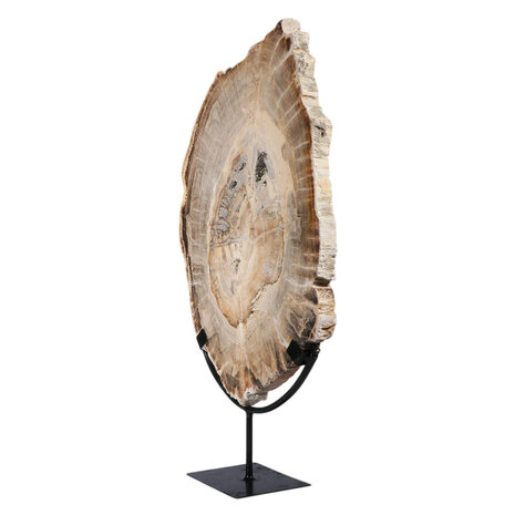 Versteend hout schijf gepolijst op standaard 41,5 x 28,7 x 2,3 cm | 4,5 kg Versteend hout schijf gepolijst op standaard 41,5 x 28,7 x 2,3 cm | 4,5 kg