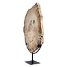Versteend hout schijf gepolijst op standaard 41,5 x 28,7 x 2,3 cm | 4,5 kg Versteend hout schijf gepolijst op standaard 41,5 x 28,7 x 2,3 cm | 4,5 kg
