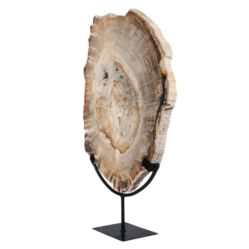 Versteend hout schijf gepolijst op standaard 41,5 x 28,7 x 2,3 cm | 4,5 kg Versteend hout schijf gepolijst op standaard 41,5 x 28,7 x 2,3 cm | 4,5 kg