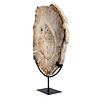 Versteend hout schijf gepolijst op standaard 41,5 x 28,7 x 2,3 cm | 4,5 kg Versteend hout schijf gepolijst op standaard 41,5 x 28,7 x 2,3 cm | 4,5 kg