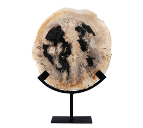 Versteend hout schijf gepolijst op standaard 24,5 x 24,5 x 2,2 cm | 2,05 kg Versteend hout schijf gepolijst op standaard 24,5 x 24,5 x 2,2 cm | 2,05 kg