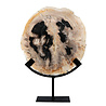 Versteend hout schijf gepolijst op standaard 24,5 x 24,5 x 2,2 cm | 2,05 kg Versteend hout schijf gepolijst op standaard 24,5 x 24,5 x 2,2 cm | 2,05 kg