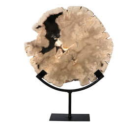 Versteend hout schijf gepolijst op standaard 24,3 x 26,4 x 2,3 cm | 2,6 kg Versteend hout schijf gepolijst op standaard 24,3 x 26,4 x 2,3 cm | 2,6 kg