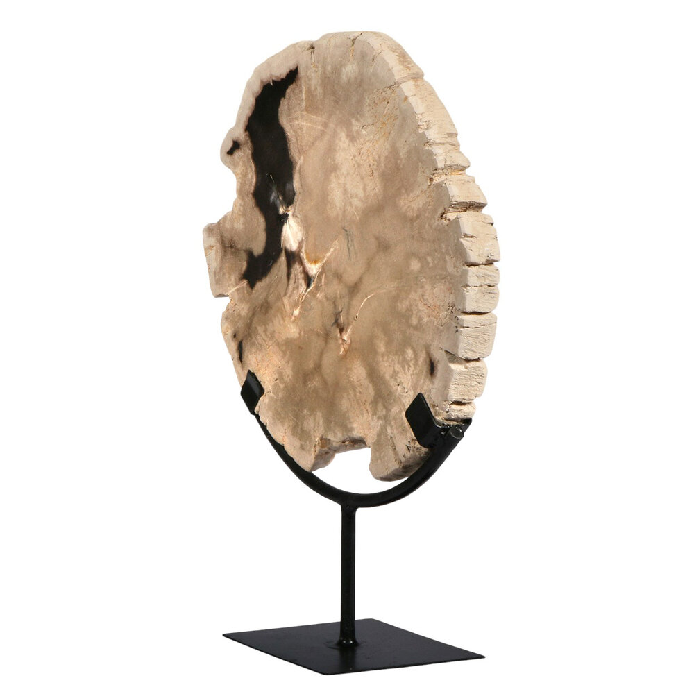 Versteend hout schijf gepolijst op standaard 24,3 x 26,4 x 2,3 cm | 2,6 kg Versteend hout schijf gepolijst op standaard 24,3 x 26,4 x 2,3 cm | 2,6 kg