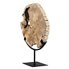 Versteend hout schijf gepolijst op standaard 24,3 x 26,4 x 2,3 cm | 2,6 kg Versteend hout schijf gepolijst op standaard 24,3 x 26,4 x 2,3 cm | 2,6 kg