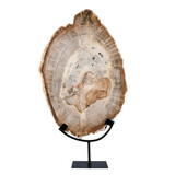 Versteend hout schijf gepolijst op standaard 44,1 x 30 x 2,1 cm | 4,1 kg Versteend hout schijf gepolijst op standaard 44,1 x 30 x 2,1 cm | 4,1 kg