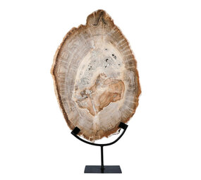 Versteend hout schijf gepolijst op standaard 44,1 x 30 x 2,1 cm | 4,1 kg Versteend hout schijf gepolijst op standaard 44,1 x 30 x 2,1 cm | 4,1 kg