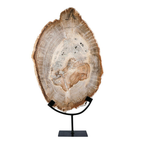 Versteend hout schijf gepolijst op standaard 44,1 x 30 x 2,1 cm | 4,1 kg Versteend hout schijf gepolijst op standaard 44,1 x 30 x 2,1 cm | 4,1 kg