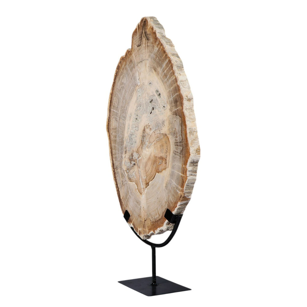Versteend hout schijf gepolijst op standaard 44,1 x 30 x 2,1 cm | 4,1 kg Versteend hout schijf gepolijst op standaard 44,1 x 30 x 2,1 cm | 4,1 kg