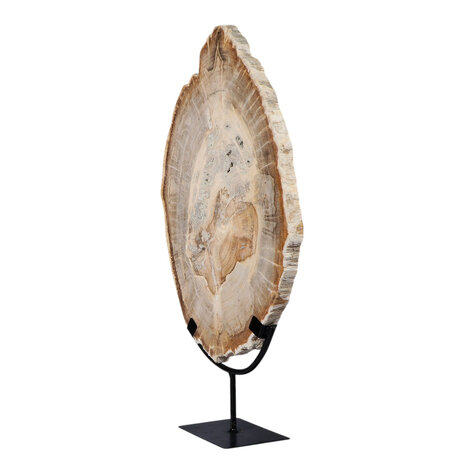 Versteend hout schijf gepolijst op standaard 44,1 x 30 x 2,1 cm | 4,1 kg Versteend hout schijf gepolijst op standaard 44,1 x 30 x 2,1 cm | 4,1 kg