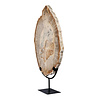 Versteend hout schijf gepolijst op standaard 44,1 x 30 x 2,1 cm | 4,1 kg Versteend hout schijf gepolijst op standaard 44,1 x 30 x 2,1 cm | 4,1 kg