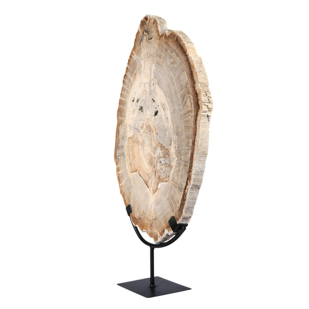 Versteend hout schijf gepolijst op standaard 44,1 x 30 x 2,1 cm | 4,1 kg Versteend hout schijf gepolijst op standaard 44,1 x 30 x 2,1 cm | 4,1 kg