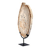Versteend hout schijf gepolijst op standaard 44,1 x 30 x 2,1 cm | 4,1 kg Versteend hout schijf gepolijst op standaard 44,1 x 30 x 2,1 cm | 4,1 kg