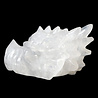 Bergkristal draken schedel 22,5 x 9,5 x 12 cm | 2744 gram Bergkristal draken schedel 22,5 x 9,5 x 12 cm | 2744 gram