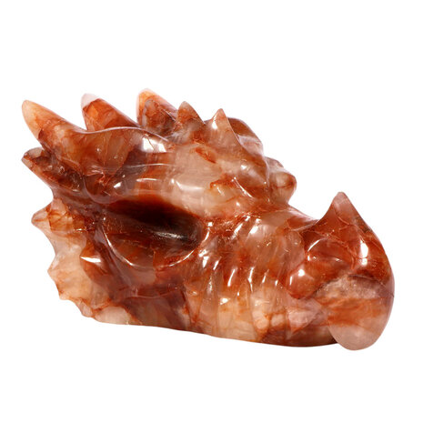 Red healer draken schedel 23 x 10 x 13 cm | 3033 gram Red healer draken schedel 23 x 10 x 13 cm | 3033 gram