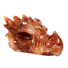 Red healer draken schedel 23 x 10 x 13 cm | 3033 gram Red healer draken schedel 23 x 10 x 13 cm | 3033 gram