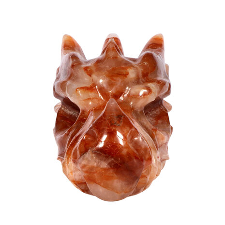 Red healer draken schedel 23 x 10 x 13 cm | 3033 gram Red healer draken schedel 23 x 10 x 13 cm | 3033 gram