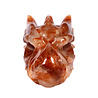 Red healer draken schedel 23 x 10 x 13 cm | 3033 gram Red healer draken schedel 23 x 10 x 13 cm | 3033 gram