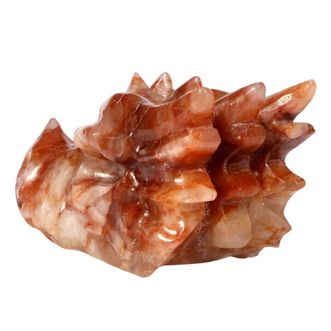 Red healer draken schedel 23 x 10 x 13 cm | 3033 gram Red healer draken schedel 23 x 10 x 13 cm | 3033 gram