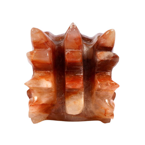 Red healer draken schedel 23 x 10 x 13 cm | 3033 gram Red healer draken schedel 23 x 10 x 13 cm | 3033 gram