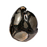 Septarie edelsteen ei A-kwaliteit 9,6 x 7,3 x 6,7 cm | 542 gram Septarie edelsteen ei A-kwaliteit 9,6 x 7,3 x 6,7 cm | 542 gram
