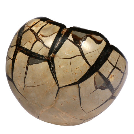 Septarie geode bol A-kwaliteit 150 mm | 3128 gram Septarie geode bol A-kwaliteit 150 mm | 3128 gram