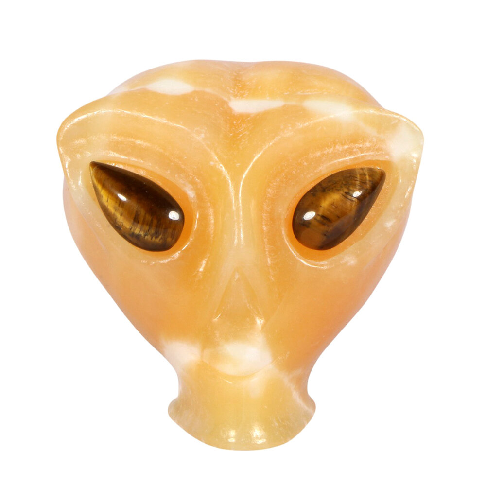 Calciet (oranje) met tijgeroog ogen alien schedel 8,8 x 6,9 x 6,9 cm | 450 gram Calciet (oranje) met tijgeroog ogen alien schedel 8,8 x 6,9 x 6,9 cm | 450 gram