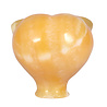 Calciet (oranje) met tijgeroog ogen alien schedel 8,8 x 6,9 x 6,9 cm | 450 gram Calciet (oranje) met tijgeroog ogen alien schedel 8,8 x 6,9 x 6,9 cm | 450 gram