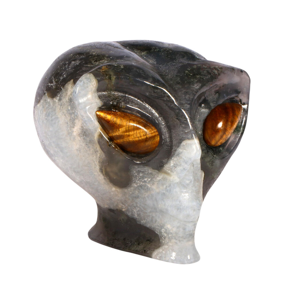 Mosagaat met tijgeroog ogen alien schedel 8,5 x 7 x 6,8 cm | 429 gram Mosagaat met tijgeroog ogen alien schedel 8,5 x 7 x 6,8 cm | 429 gram