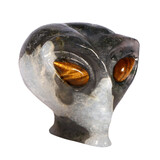 Mosagaat met tijgeroog ogen alien schedel 8,5 x 7 x 6,8 cm | 429 gram