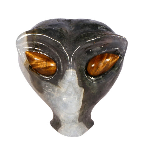 Mosagaat met tijgeroog ogen alien schedel 8,5 x 7 x 6,8 cm | 429 gram Mosagaat met tijgeroog ogen alien schedel 8,5 x 7 x 6,8 cm | 429 gram