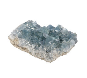 Celestien cluster A-kwaliteit 11,3 x 7,8 x 4,6 cm | 817 gram Celestien cluster A-kwaliteit 11,3 x 7,8 x 4,6 cm | 817 gram