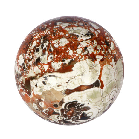 Agaat (money) bol 70 mm | 424 gram Agaat (money) bol 70 mm | 424 gram