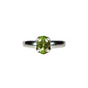 Zilveren ring toermalijn (groen) maat 16 1/2 | ovaal (gezet) facet 0,8 x 0,6 cm Zilveren ring toermalijn (groen) maat 16 1/2 | ovaal (gezet) facet 0,8 x 0,6 cm