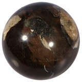 Versteend hout bol 120 mm | 2,4 kg Versteend hout bol 120 mm | 2,4 kg