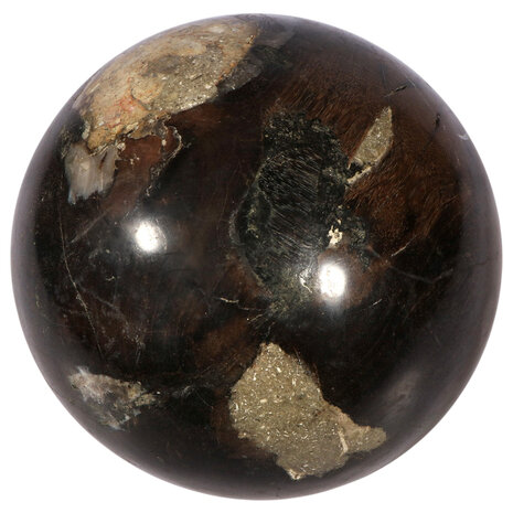 Versteend hout bol 120 mm | 2,4 kg Versteend hout bol 120 mm | 2,4 kg