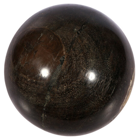 Versteend hout bol 120 mm | 2,4 kg Versteend hout bol 120 mm | 2,4 kg