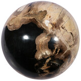 Versteend hout bol 145 mm | 5,3 kg Versteend hout bol 145 mm | 5,3 kg