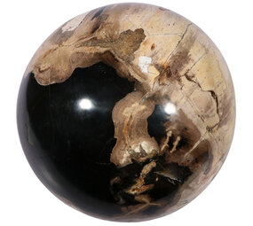 Versteend hout bol 145 mm | 5,3 kg Versteend hout bol 145 mm | 5,3 kg
