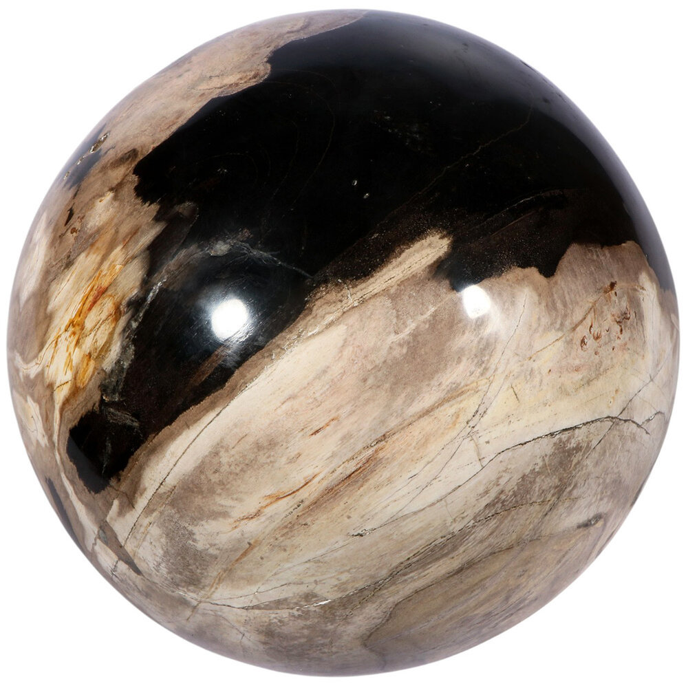 Versteend hout bol 145 mm | 5,3 kg Versteend hout bol 145 mm | 5,3 kg